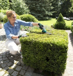 Bosch Isio III Shape And Edge Cordless Shears 7 Bosch Isio III Shape And Edge Cordless Shears -Cheap Hozelock || Kettler || Bosch Store Isio detail large 2