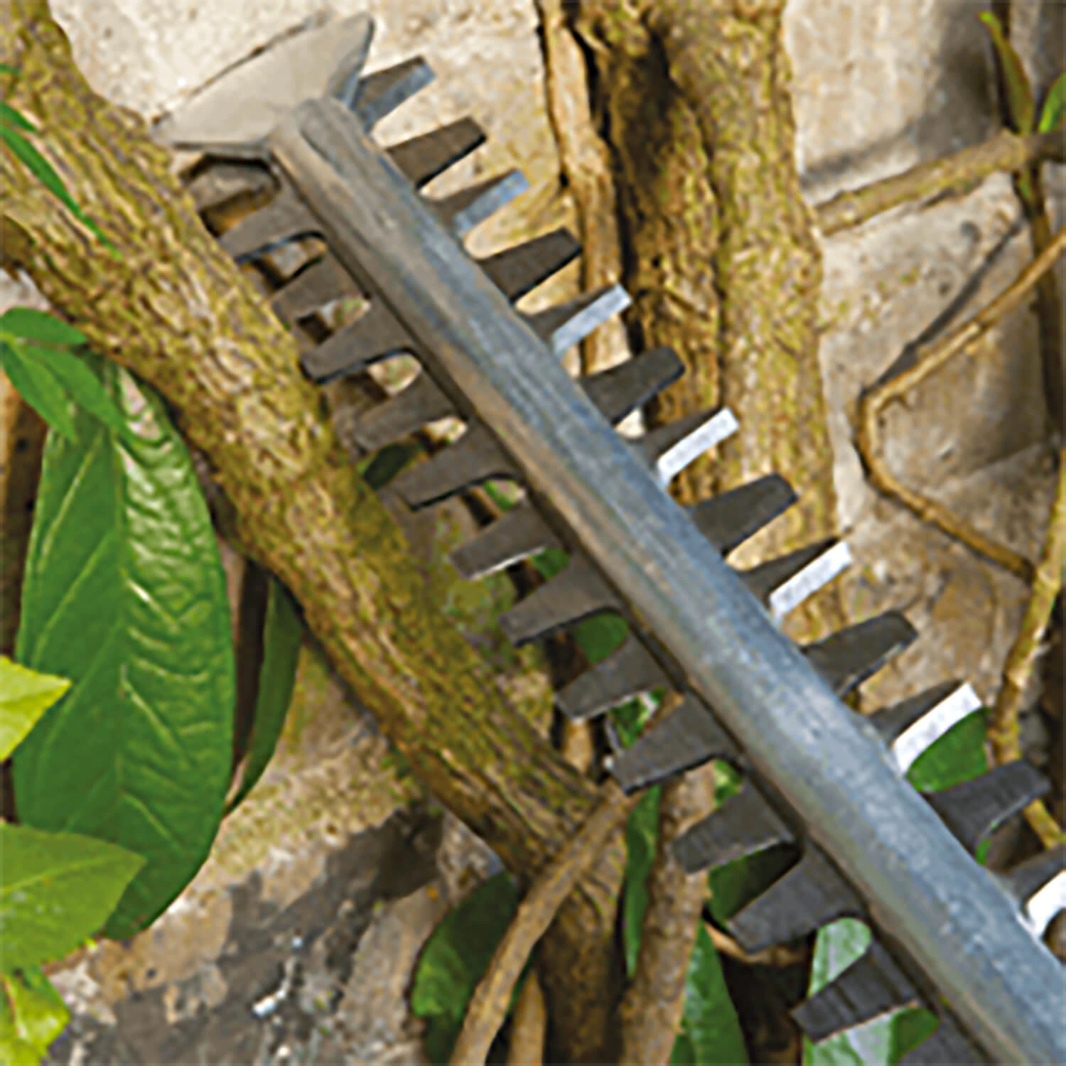 Bosch Advanced HedgeCut 70 Electric Hedge Trimmer 2 Bosch Advanced HedgeCut 70 Electric Hedge Trimmer - Image 2