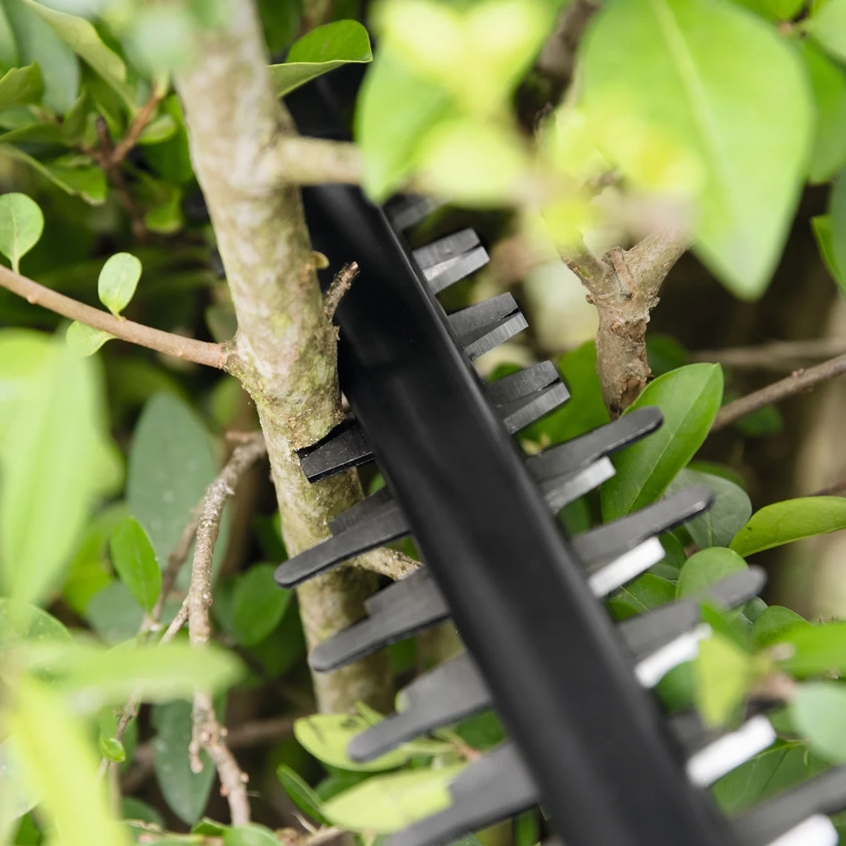 Bosch AHS 50-20 Li Cordless Hedge Trimmer 5 Bosch AHS 50-20 Li Cordless Hedge Trimmer - Image 5