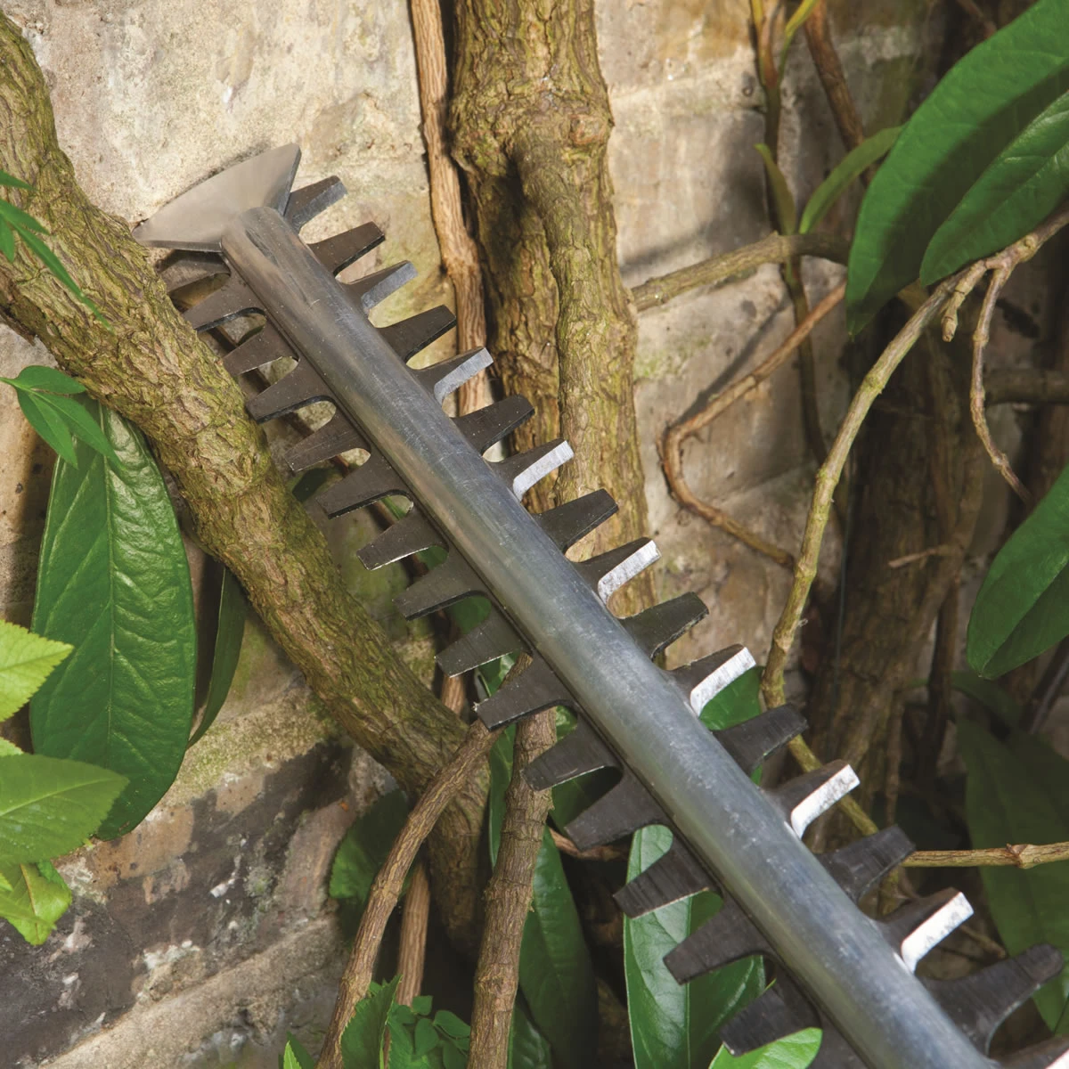 Bosch Electric Hedge Trimmer - AHS 50-26 4 Bosch Electric Hedge Trimmer - AHS 50-26 - Image 4