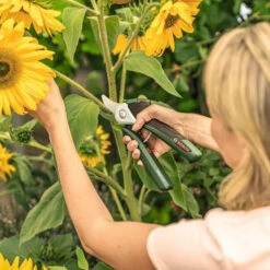 Bosch EasyPrune Electric Secateurs 8 Bosch EasyPrune Electric Secateurs -Cheap Hozelock || Kettler || Bosch Store easy prune lifestyle