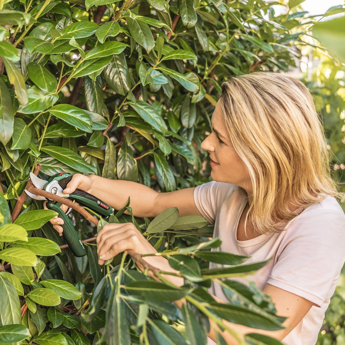 Bosch EasyPrune Electric Secateurs 5 Bosch EasyPrune Electric Secateurs - Image 5