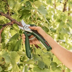 Bosch EasyPrune Electric Secateurs 9 Bosch EasyPrune Electric Secateurs -Cheap Hozelock || Kettler || Bosch Store easyprune life