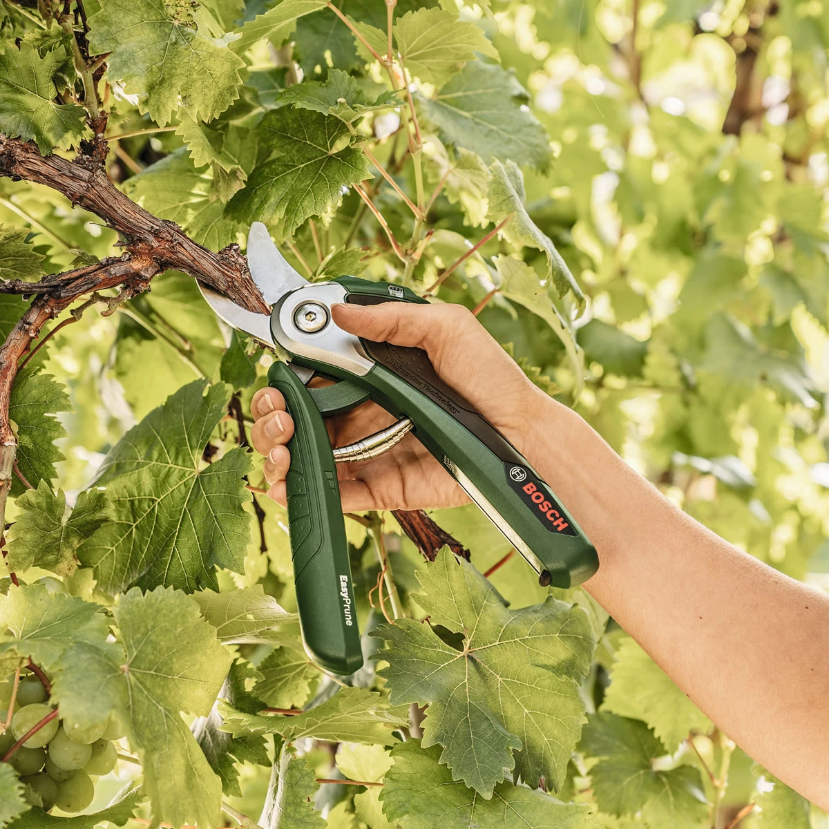 Bosch EasyPrune Electric Secateurs 4 Bosch EasyPrune Electric Secateurs - Image 4