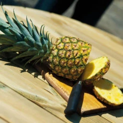 Pine FSC Gleneagles 8 Seater Picnic Table By Alexander Rose -Cheap Hozelock || Kettler || Bosch Store gleneagles detail large