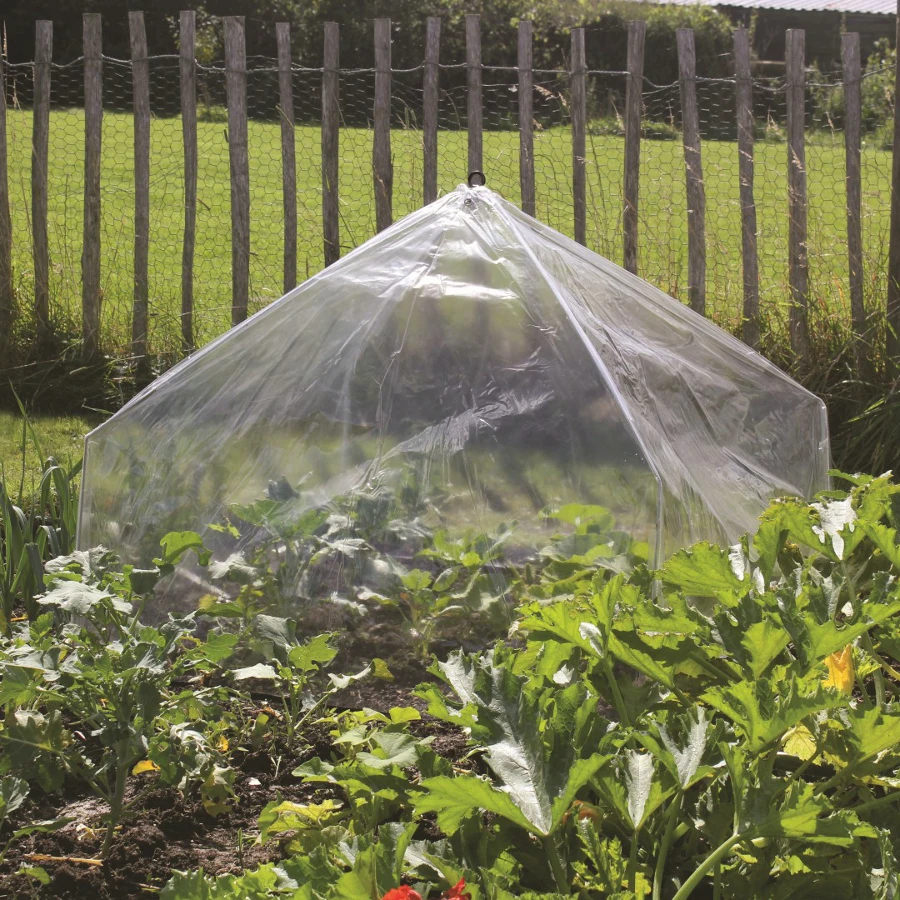 Haxnicks Giant Easy Lantern Cloche - Poly 1 Haxnicks Giant Easy Lantern Cloche - Poly