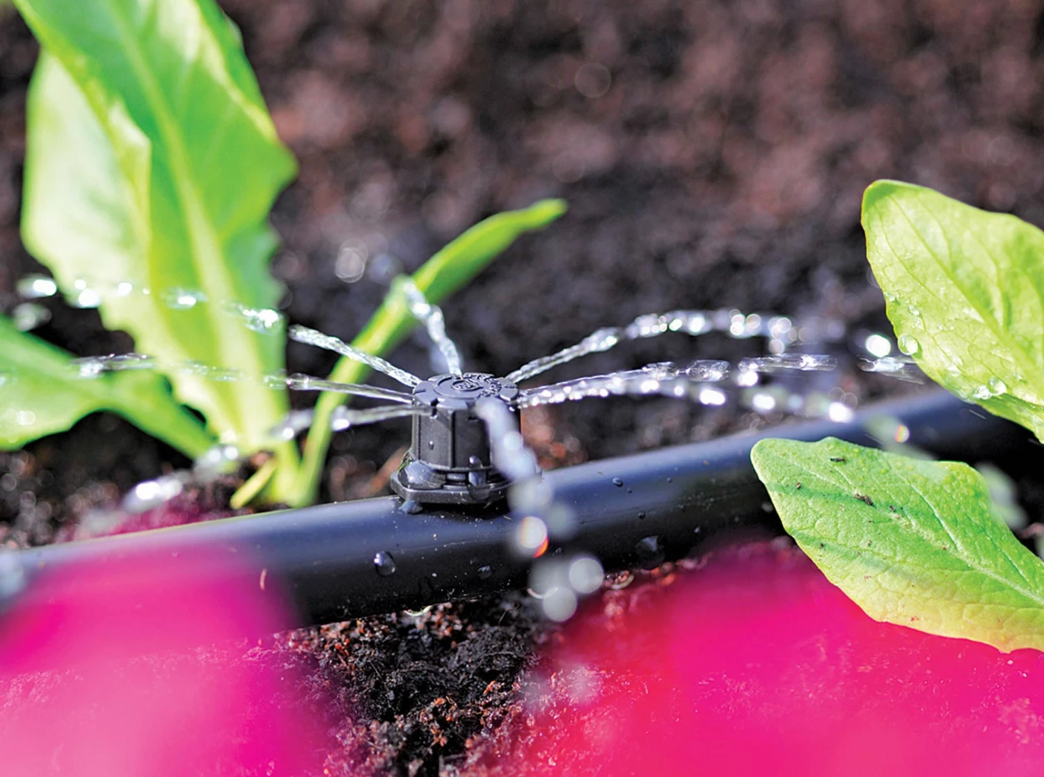 Hozelock Micro Irrigation Adjustable Dripper - 2787 1 Hozelock Micro Irrigation Adjustable Dripper - 2787