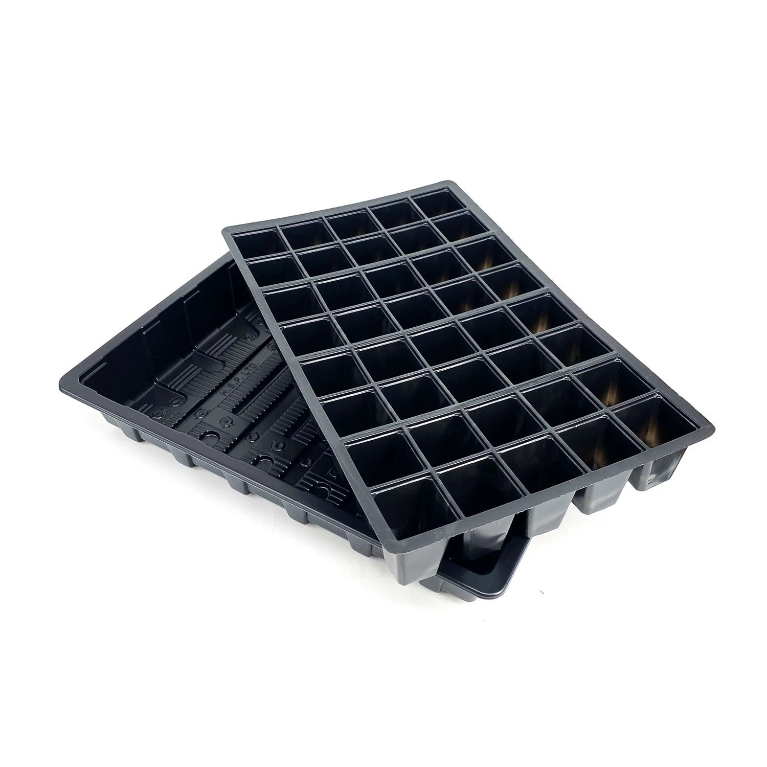 Nutley's Seed Tray With 40 Cell Insert - Tray: With Holes 2 Nutley's Seed Tray With 40 Cell Insert - Tray: With Holes - Image 2