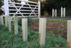 Rainbow Tree Defenders - 75cm Tall - X10