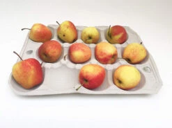 Nutley's 12 Hole Biodegradable Apple Trays -Cheap Hozelock || Kettler || Bosch Store l 81sauHxqv0L. SL1500 1024x1024@2x