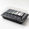 Nutleys 60 Cell Full Size Seed Propagator Set - Tray: With Holes