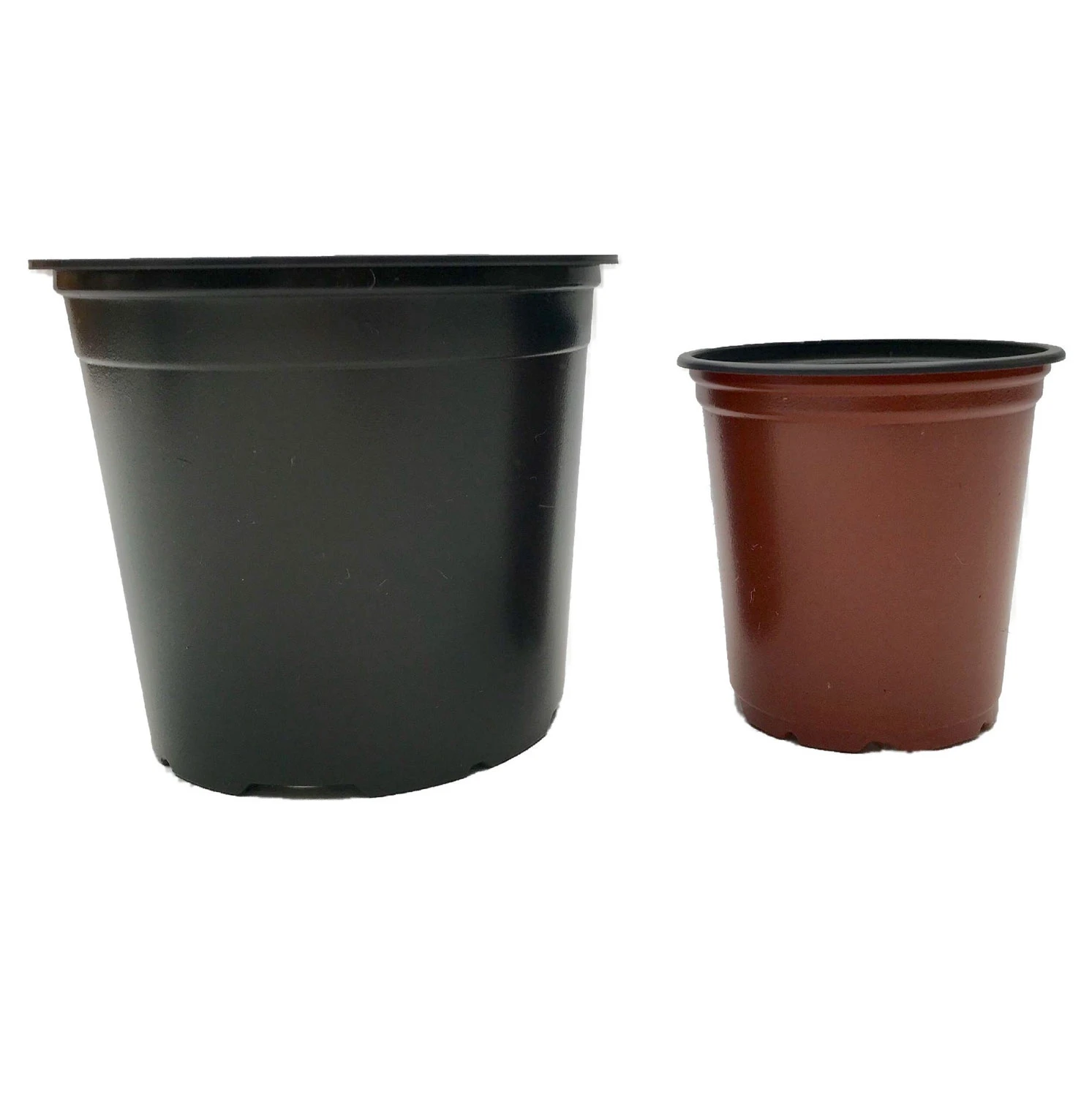Nutley's Mixed 9cm And 13cm Round Plastic Pots Duo (25 Of Each) 1 Nutley's Mixed 9cm And 13cm Round Plastic Pots Duo (25 Of Each)
