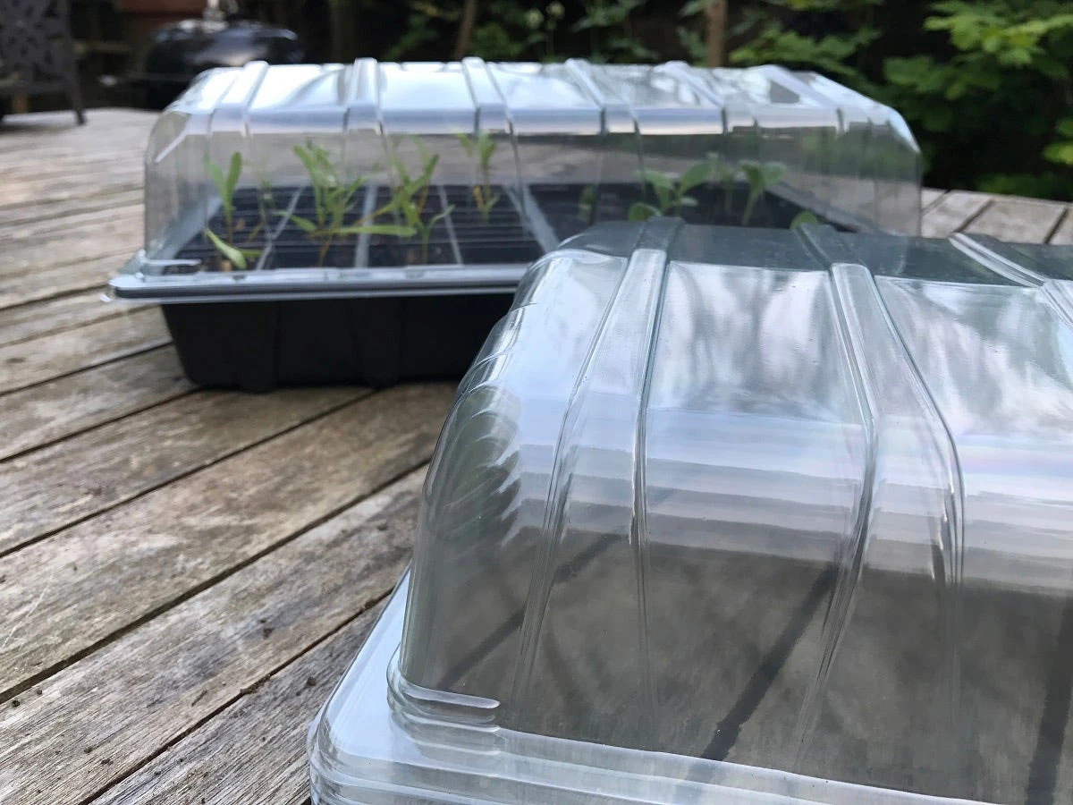 Nutley's Clear Plastic Full Size Seed Propagator Lids 2 Nutley's Clear Plastic Full Size Seed Propagator Lids - Image 2