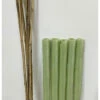 Biodegradable Spiral Tree Guards With Canes - 60cm X 38mm