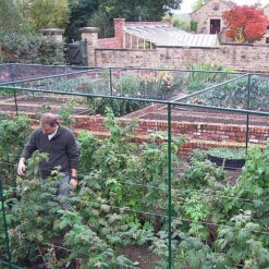 Deluxe Fruit Cage 183cm High X 732cm Wide X 1463cm Long