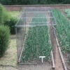 Standard Fruit Cage 183cm High X 183cm Wide X 366cm Long