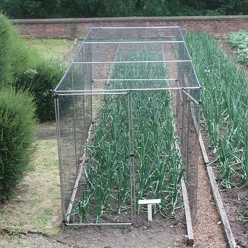 Standard Fruit Cage 183cm High X 183cm Wide X 183cm Long 1 Standard Fruit Cage 183cm High X 183cm Wide X 183cm Long