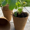 Nutley's 7cm Biodegradeable Organic Wood Fibre Plantable Plant Pots