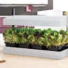 Garland Grow Light Garden Propagator