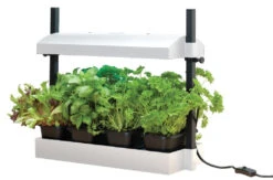 Garland Micro Grow Light Garden Propagator