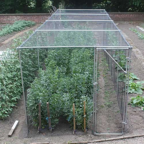 Heavy Duty Fruit Cage 213cm X 488cm X 1463cm With Bird Netting 1 Heavy Duty Fruit Cage 213cm X 488cm X 1463cm With Bird Netting