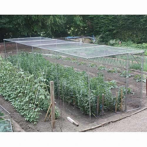 Heavy Duty Fruit Cage 213cm X 731cm X 1463cm With Butterfly Netting 1 Heavy Duty Fruit Cage 213cm X 731cm X 1463cm With Butterfly Netting