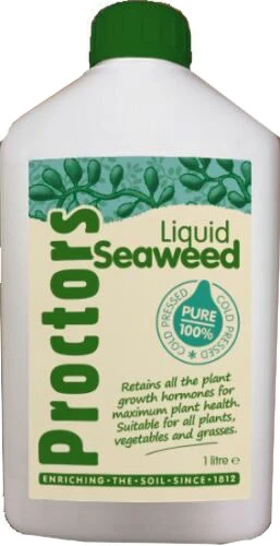 Proctors Cold Pressed Seaweed Extract - 1 Litre Bottle Of Concentrate 1 Proctors Cold Pressed Seaweed Extract - 1 Litre Bottle Of Concentrate