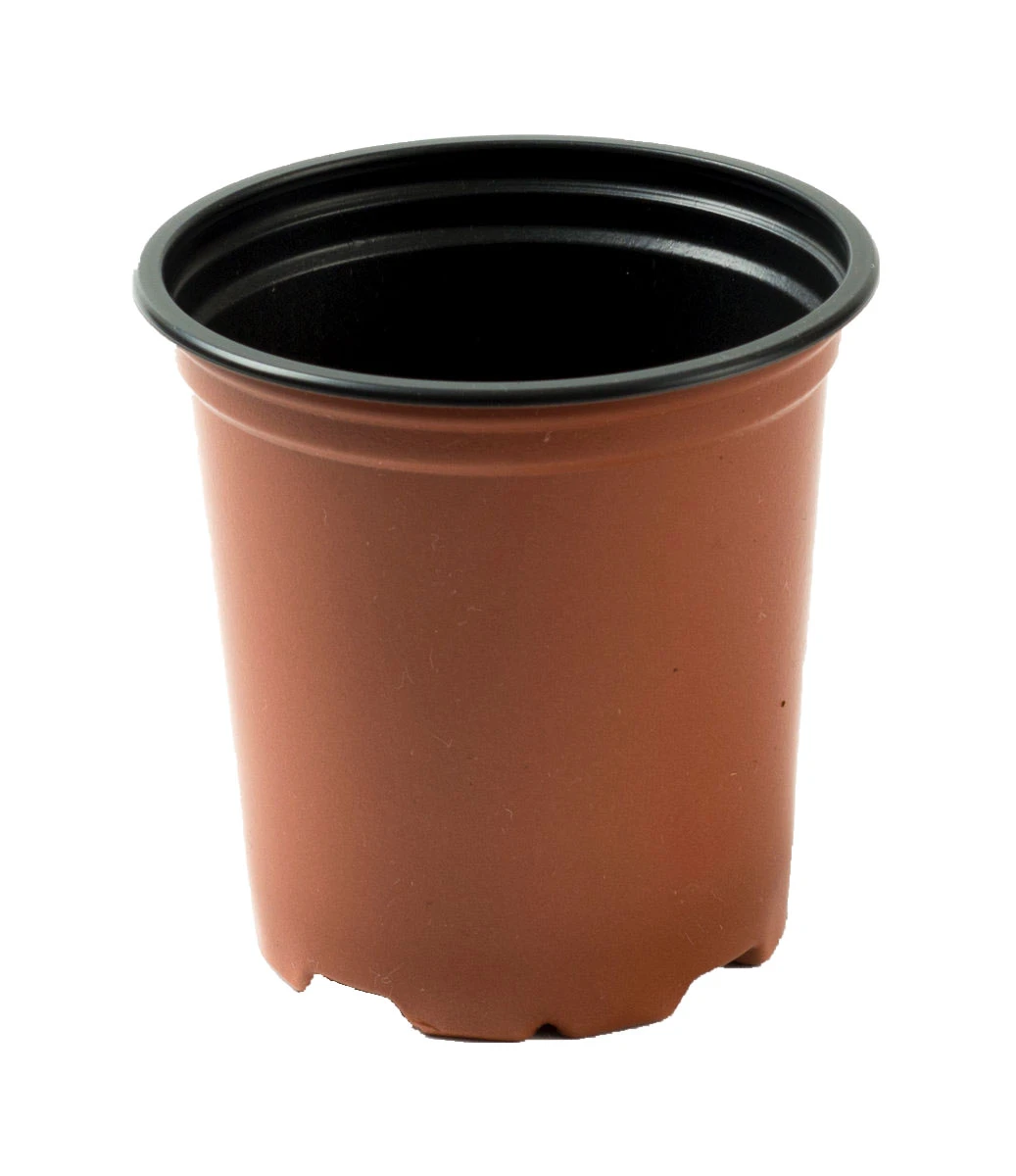 Nutley's Mixed 9cm And 13cm Round Plastic Pots Duo (25 Of Each) 2 Nutley's Mixed 9cm And 13cm Round Plastic Pots Duo (25 Of Each) - Image 2