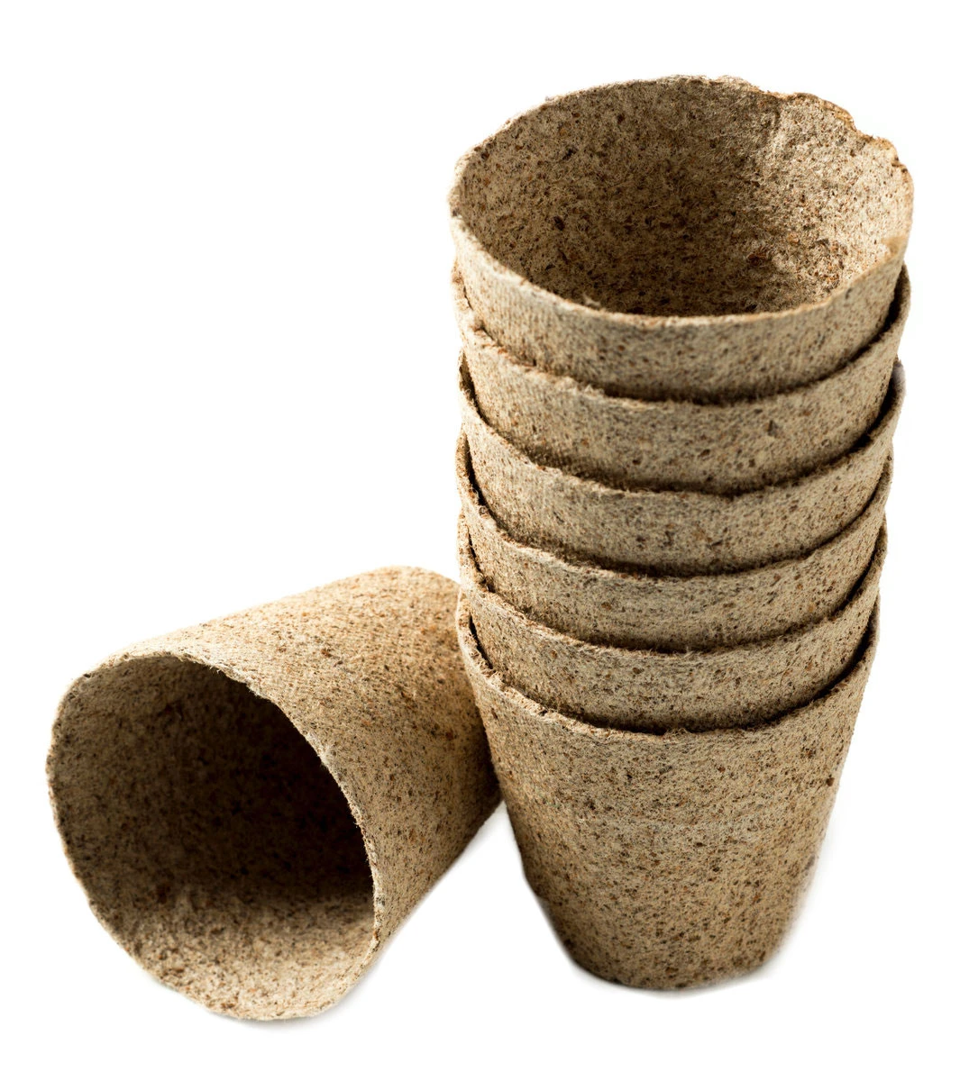 Nutley's 6cm And 8cm Round Jiffy Peat-Free Fibre Plant Pots Duo (25 Of Each) 2 Nutley's 6cm And 8cm Round Jiffy Peat-Free Fibre Plant Pots Duo (25 Of Each) - Image 2
