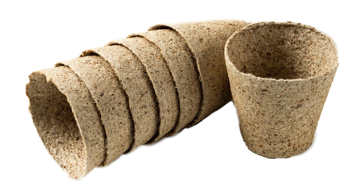 Nutley's 6cm And 8cm Round Jiffy Peat-Free Fibre Plant Pots Duo (25 Of Each) 4 Nutley's 6cm And 8cm Round Jiffy Peat-Free Fibre Plant Pots Duo (25 Of Each) - Image 4