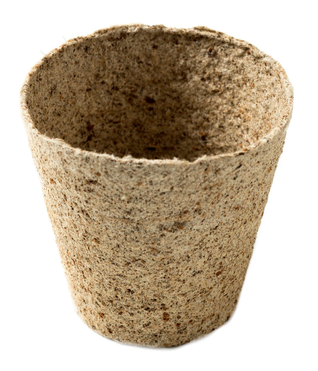 Nutley's 6cm And 8cm Round Jiffy Peat-Free Fibre Plant Pots Duo (25 Of Each) 3 Nutley's 6cm And 8cm Round Jiffy Peat-Free Fibre Plant Pots Duo (25 Of Each) - Image 3
