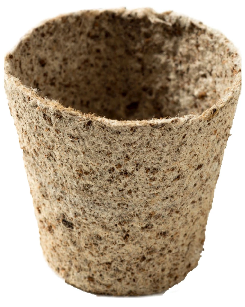 Nutley's 6cm And 8cm Round Jiffy Peat-Free Fibre Plant Pots Duo (25 Of Each) 5 Nutley's 6cm And 8cm Round Jiffy Peat-Free Fibre Plant Pots Duo (25 Of Each) - Image 5