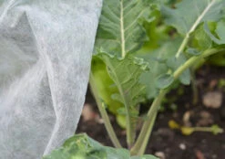 Nutley's 1.5m Wide Heavyweight Garden Fleece 35gsm -Cheap Hozelock || Kettler || Bosch Store l fleece in use 8a1b3ace 7e9d 4d30 a32c b33a356c33c9 1024x1024@2x