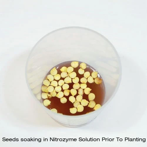 Nitrozyme - 300ml 2 Nitrozyme - 300ml - Image 2