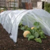 Haxnicks Giant Easy Polytunnel Cloche