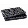 Jiffy Trays - Pack Of 2 With 80 - 42mm Blocks