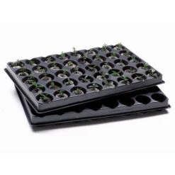 Jiffy Trays - Pack Of 5 With 200 - 42mm Blocks
