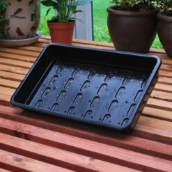 Economy Seed Trays - Pack Of 6