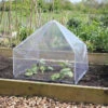 Haxnicks Easy Lantern Poly Garden Cloche