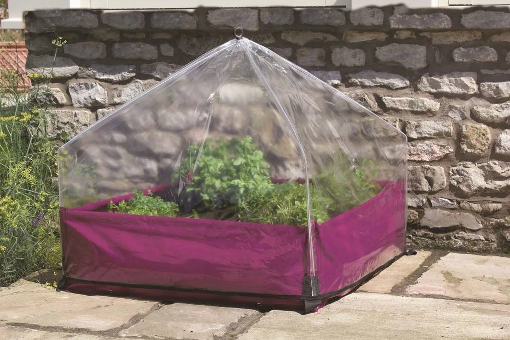 Haxnicks Easy Lantern Garden Cloche 2 Haxnicks Easy Lantern Garden Cloche - Image 2