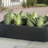 Mini Raised Bed - Special Offer Pack Of 2