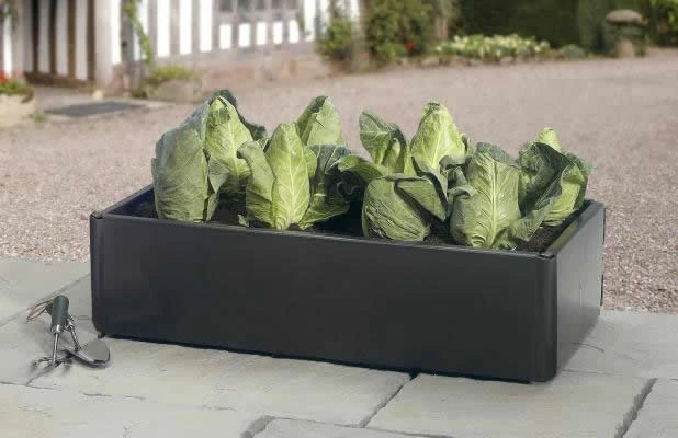 Mini Raised Bed - Special Offer Pack Of 2 1 Mini Raised Bed - Special Offer Pack Of 2