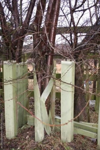 Rainbow Tree Defenders With Stakes - 120cm Tall - X10 2 Rainbow Tree Defenders With Stakes - 120cm Tall - X10 - Image 2