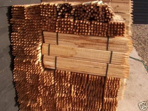 Rainbow Tree Defenders With Stakes - 60cm Tall - X10 4 Rainbow Tree Defenders With Stakes - 60cm Tall - X10 - Image 4