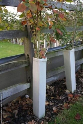 Rainbow Tree Defenders - 75cm Tall - X10 2 Rainbow Tree Defenders - 75cm Tall - X10 - Image 2