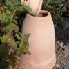 60cm Terracotta Rhubarb Forcer / Clay Cloche