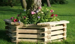 Medium Softwood Tree Seat