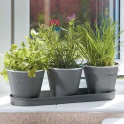 Smart Garden Windowsill Herb Pots 3 Pack (6030302)